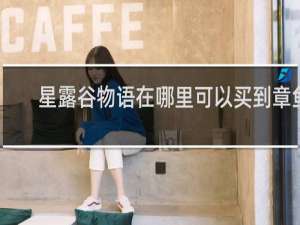 星露谷物语在哪里可以买到章鱼