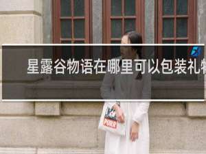 星露谷物语在哪里可以包装礼物