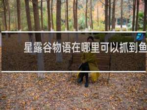 星露谷物语在哪里可以抓到鱼