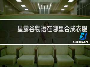 星露谷物语在哪里合成衣服