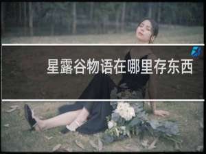 星露谷物语在哪里存东西