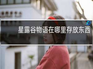 星露谷物语在哪里存放东西