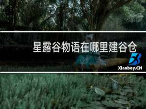 星露谷物语在哪里建谷仓