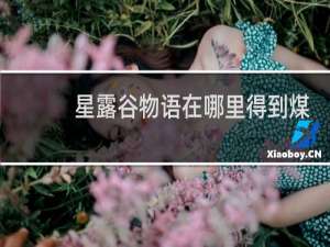星露谷物语在哪里得到煤