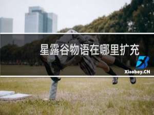 星露谷物语在哪里扩充