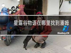 星露谷物语在哪里找到潘姆