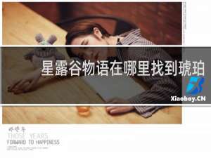 星露谷物语在哪里找到琥珀