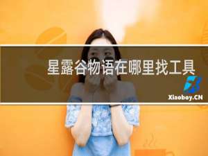星露谷物语在哪里找工具