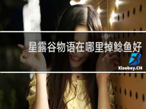 星露谷物语在哪里掉鲶鱼好