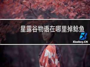 星露谷物语在哪里掉鲶鱼