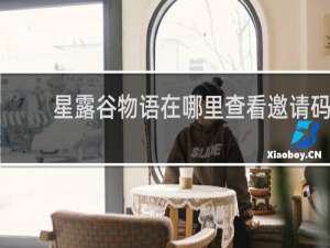 星露谷物语在哪里查看邀请码