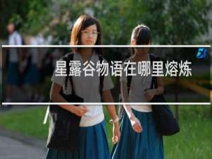 星露谷物语在哪里熔炼