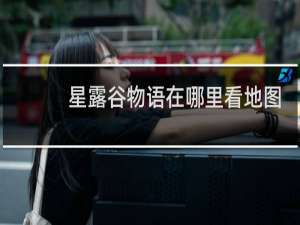 星露谷物语在哪里看地图