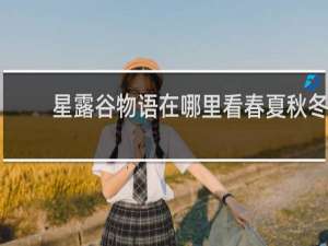 星露谷物语在哪里看春夏秋冬