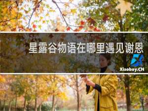 星露谷物语在哪里遇见谢恩