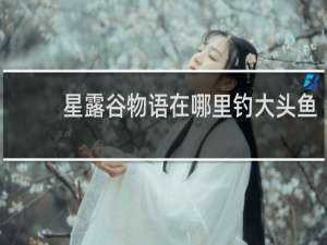 星露谷物语在哪里钓大头鱼