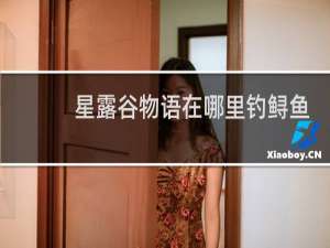 星露谷物语在哪里钓鲟鱼