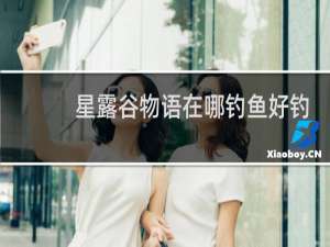 星露谷物语在哪钓鱼好钓