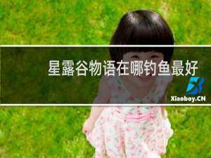 星露谷物语在哪钓鱼最好