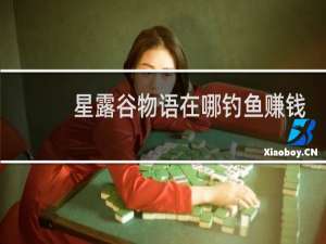 星露谷物语在哪钓鱼赚钱