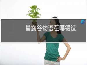 星露谷物语在哪锻造