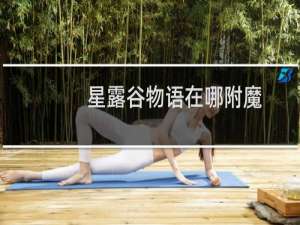 星露谷物语在哪附魔