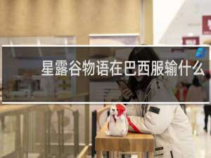 星露谷物语在巴西服输什么