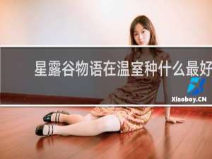 星露谷物语在温室种什么最好