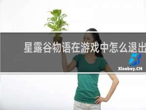 星露谷物语在游戏中怎么退出