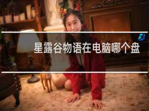 星露谷物语在电脑哪个盘