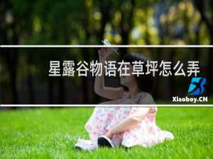 星露谷物语在草坪怎么弄