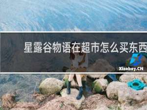 星露谷物语在超市怎么买东西