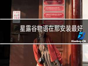 星露谷物语在那安装最好