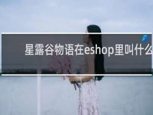 星露谷物语在eshop里叫什么