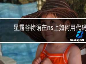 星露谷物语在ns上如何用代码