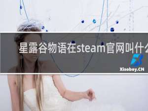 星露谷物语在steam官网叫什么