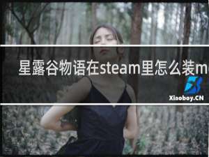 星露谷物语在steam里怎么装mod