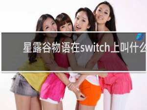星露谷物语在switch上叫什么