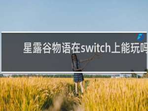 星露谷物语在switch上能玩吗