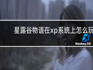 星露谷物语在xp系统上怎么玩