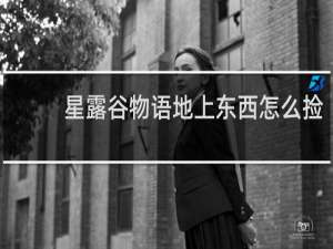 星露谷物语地上东西怎么捡