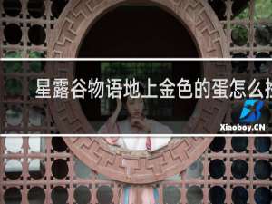 星露谷物语地上金色的蛋怎么捡