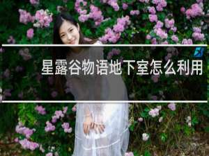 星露谷物语地下室怎么利用
