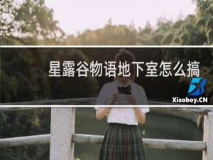 星露谷物语地下室怎么搞