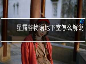 星露谷物语地下室怎么解说