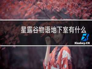 星露谷物语地下室有什么