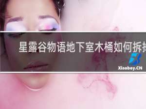 星露谷物语地下室木桶如何拆掉