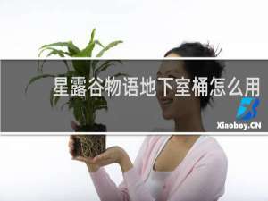 星露谷物语地下室桶怎么用