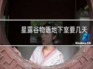 星露谷物语地下室要几天