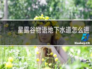 星露谷物语地下水道怎么进